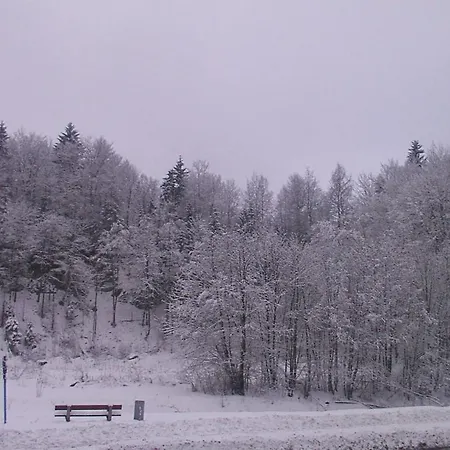 Gosciniec Wenecja Bed and Breakfast